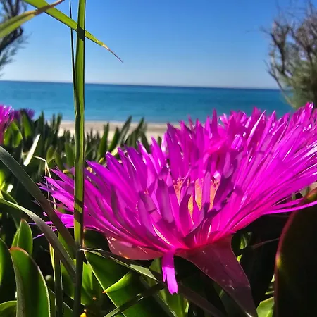 Athenas * Nea Plagia